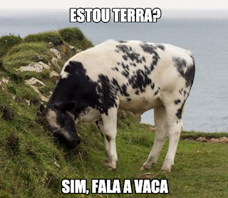 vaca fala com o planeta terra