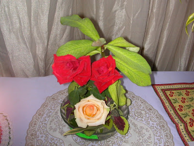 Rose Flowers In Exhibition