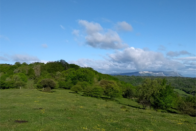 Seguimos por el cordal