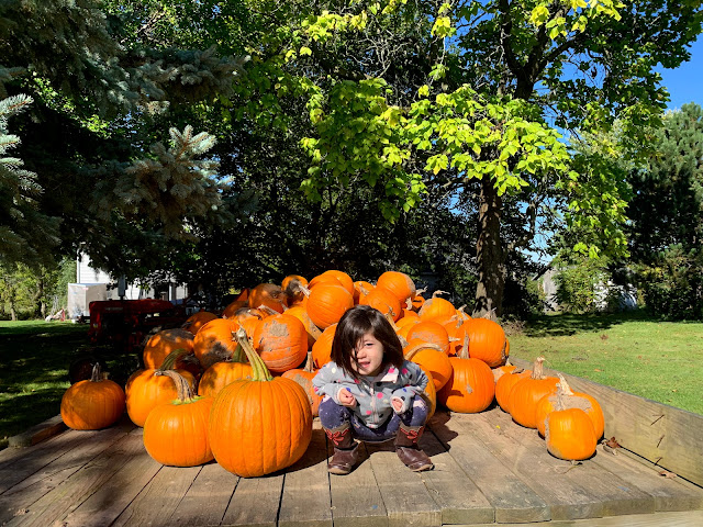 Ruple Farms goes to Hardy's Farm Market