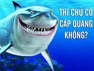 anh che dut cap hai huoc viet nam