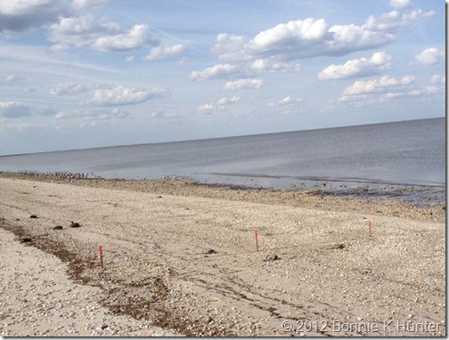 Delaware2012 229