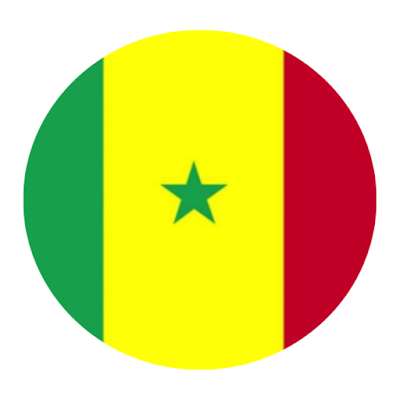 senegal logo dls