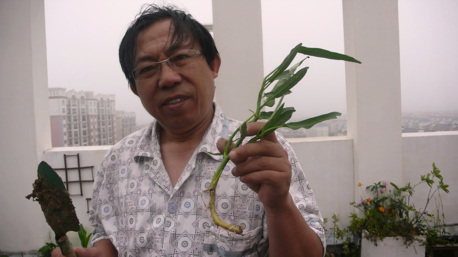 波特兰先生的博客 空心菜含钙居叶菜首位