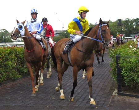 race 5_return to scale