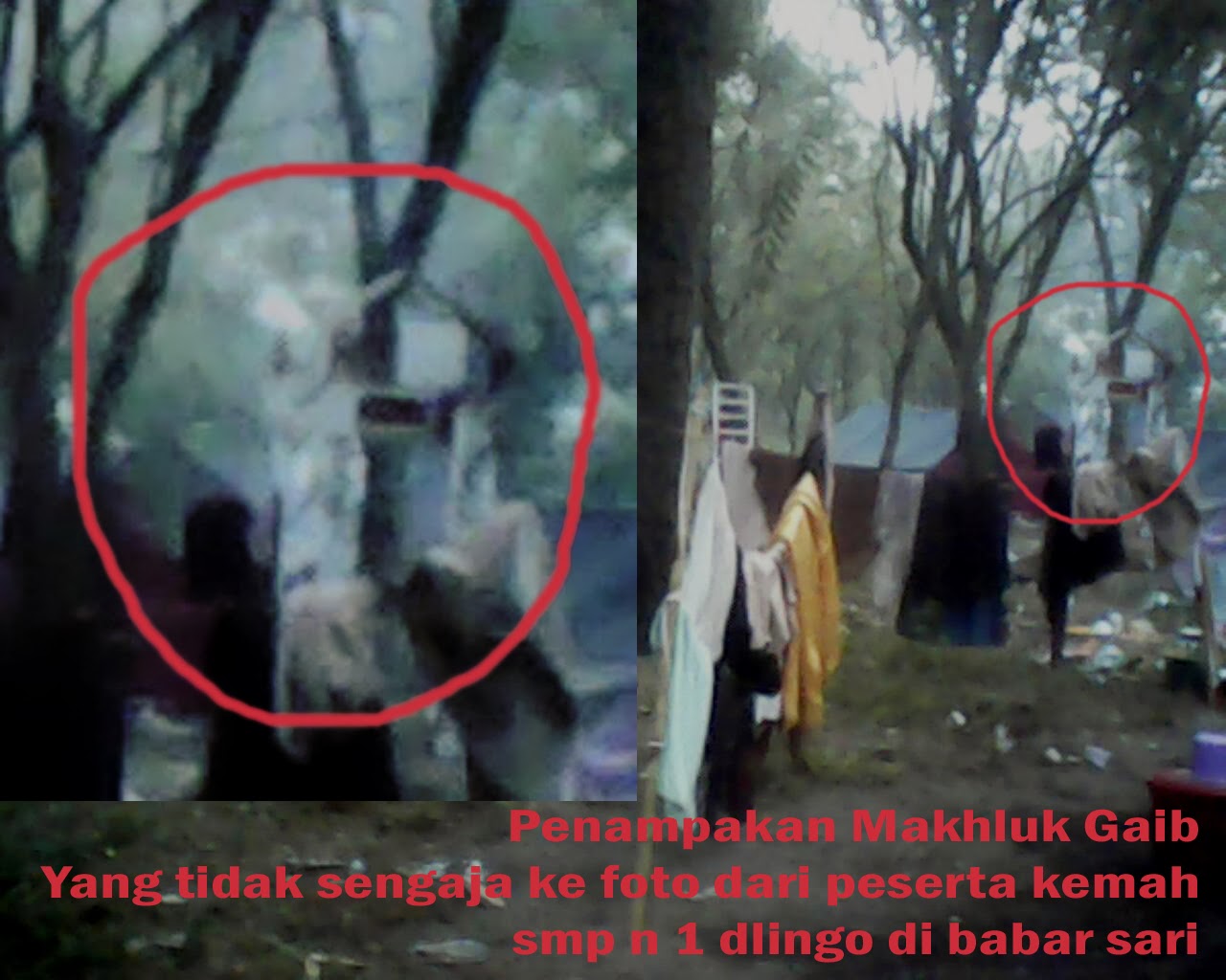 Gambar Dan Kata Kata Hantu Lucu Stok Gambar Lucu