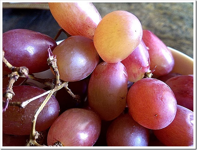 free-images-of-grapes-1 (2203) free-images-of-grapes-1 (2203)