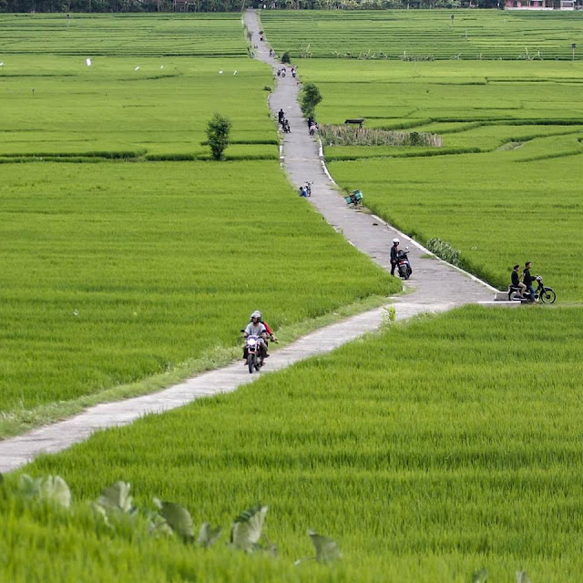 36 Foto Indahnya Wisata Alam Kulon Progo, Yakin nih Kalau ke Jogja cuma ke Malioboro? 