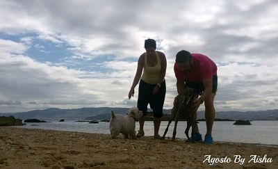 Foto de un paseo en la playa con nuestras perras 