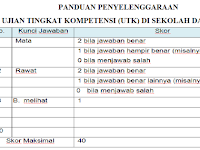 Panduan Ujian Tingkat Kompetensi (UTK) di Sekolah Dasar (SD) Kurikulum 2013