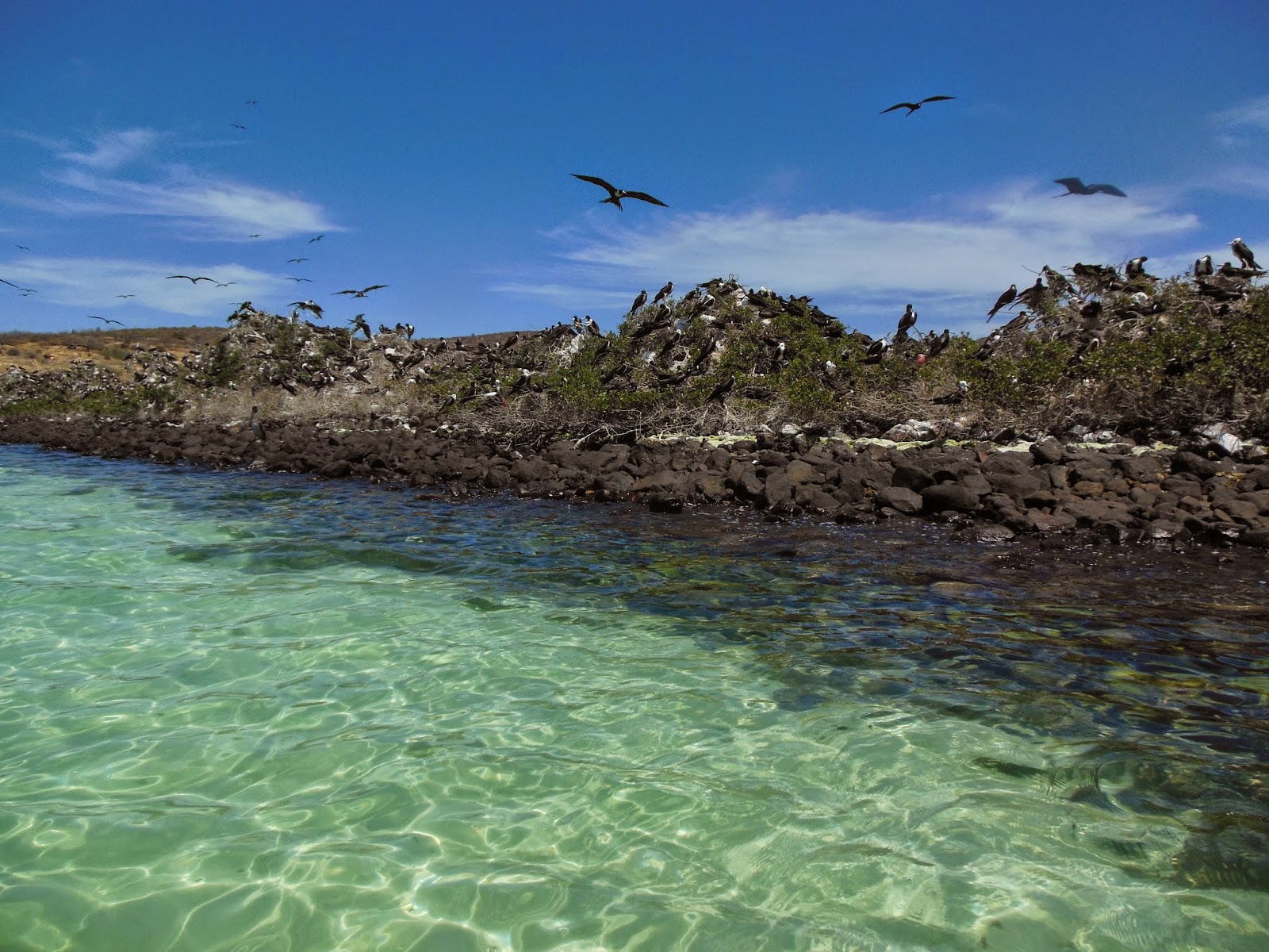 http://www.msc.org/newsroom/news/mexican-southern-gulf-of-california-thread-herring-fishery-enters-msc-assessment-process?fromsearch=1&isnewssearch=1