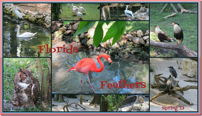 BirdsBest