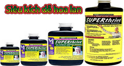 Superthirve siêu kích rễ kích mầm hoa lan