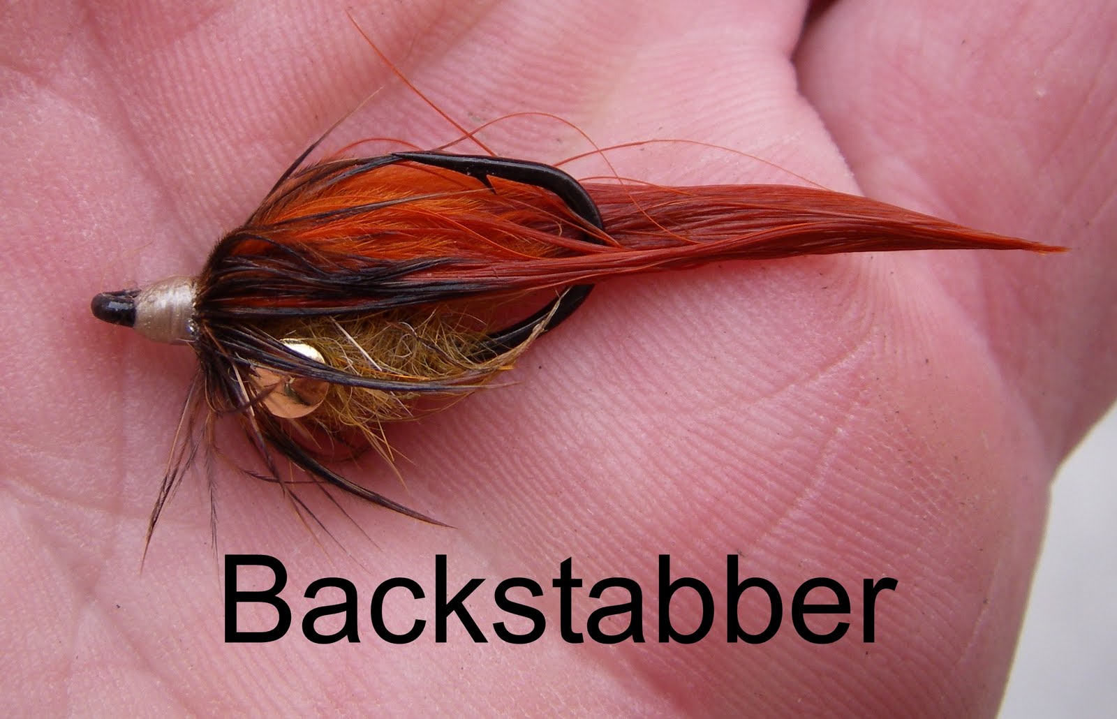 Colorado Fly Fishing Reports: How to Tie the Backstabber Carp Fly
