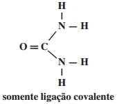 somente ligação covalente