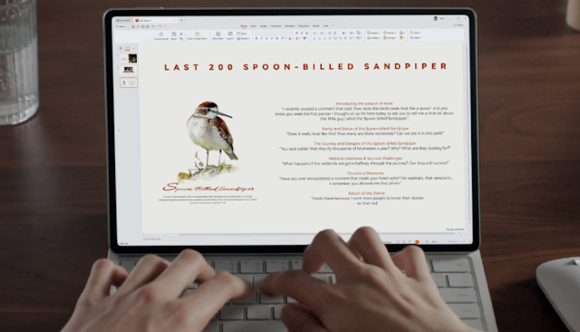 PC-Level WPS Office
