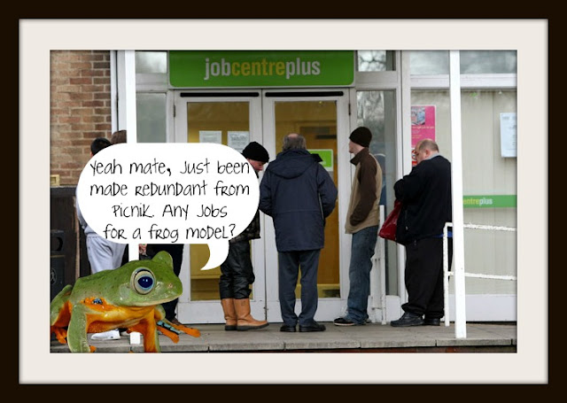 Picnik frog job centre