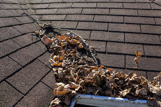 Time For Roof Cleaning