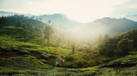 19 Place to visit in wayanad Keral