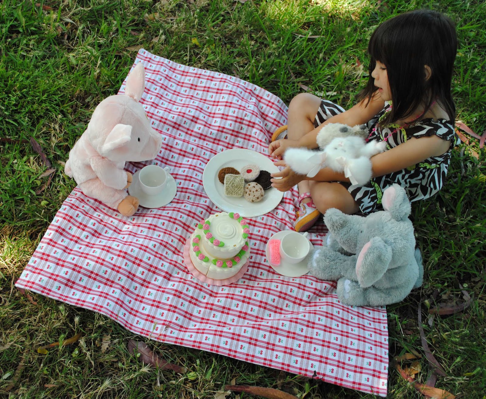 Picnic Blanket