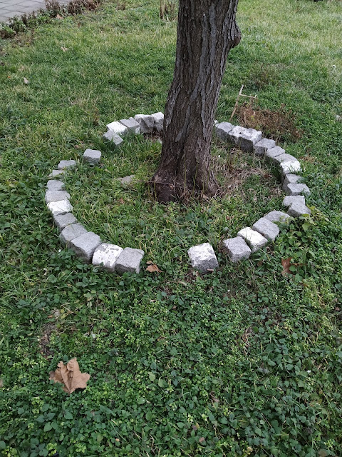 White, Cobblestoned, Tree, Yambol,