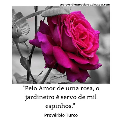 "Pelo Amor de Uma Rosa, o jardineiro é servo de mil Espinhos."  Provérbio Turco