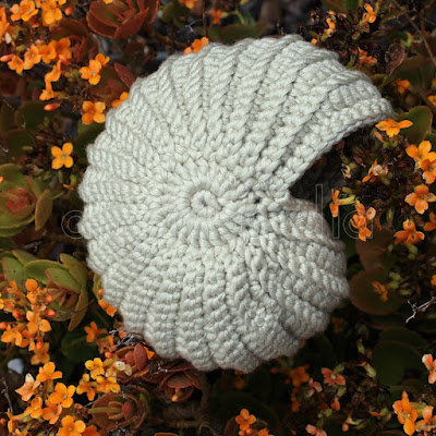 Caracola crochet