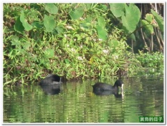 20101221_094242_009_CityForest