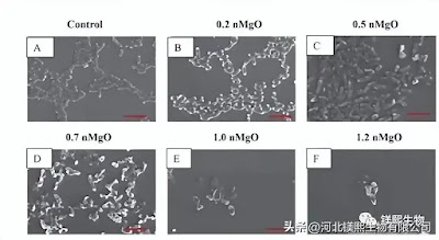 Properties and applications of electronic grade magnesium oxide