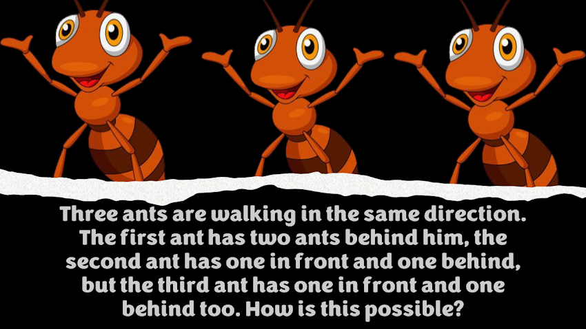  The Ants Go Marching || Logical Interview Puzzle