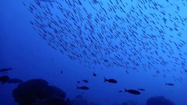 7 Fenomena Alam Aneh di Muka Bumi