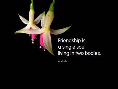 friends quotes wallpaper. friendship quotes wallpapers.