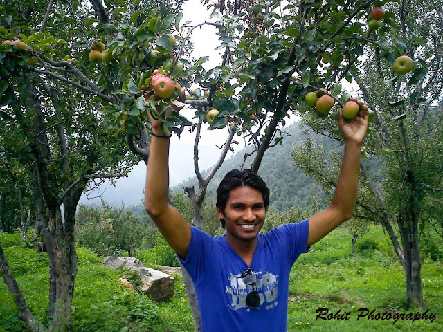 Naini Lake Sheetla Devi Mandir Boating Mukteshwar Temple Apple Orchid Nature Himalayas The Lake City Uttrakhand Uttranchal Free Soul Love Life Backpacking Mountain Call Rohit Kalyana Himalayan Womb