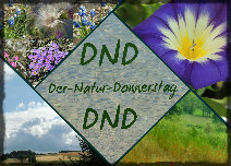 https://kreativ-im-rentnerdasein.blogspot.com/2020/06/der-natur-donnerstag_10.html