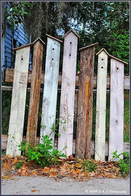 As cercas no jardim ou na sua horta são importantes para a proteção e demarcação do espaço, mas também servem para embelezar.