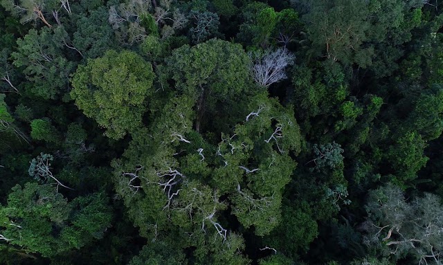 Cúpula será “novo tempo” para comunidades amazônicas, afirma instituto