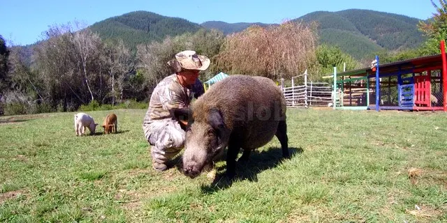 Granja Educativa