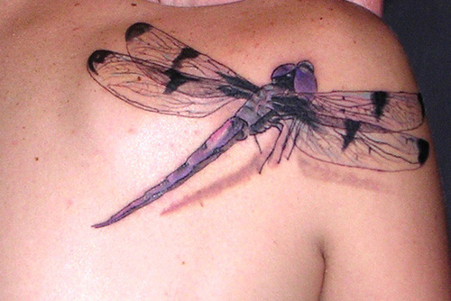 Dragonfly Tattoo