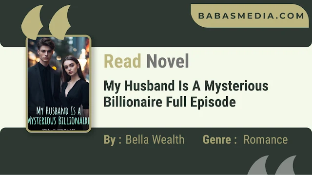 Cover My Husband Is A Mysterious Billionaire Novel By Bella Wealth