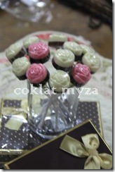 Coklat Myza 19.3.2011 051