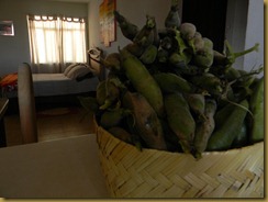 DSCN2215