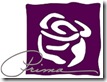 prima_sm