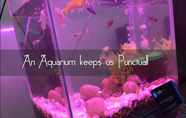 Fish aquarium keeps one punctual in office