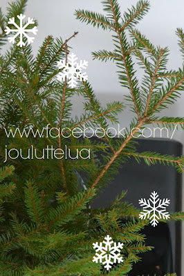 https://www.facebook.com/jouluttelua?ref=hl