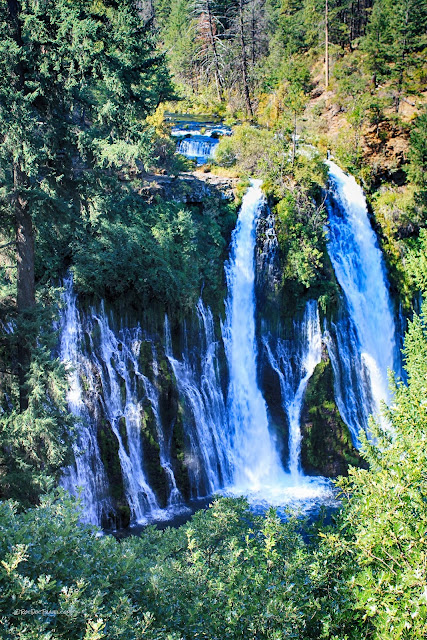 Burney Falls State Park California geology travel field trip tour copyright rocdoctravel.com