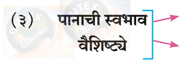 Chapter 7 - गवताचे पाते Balbharati solutions for Marathi - Kumarbharati 10th Standard SSC Maharashtra State Board [मराठी - कुमारभारती इयत्ता १० वी]