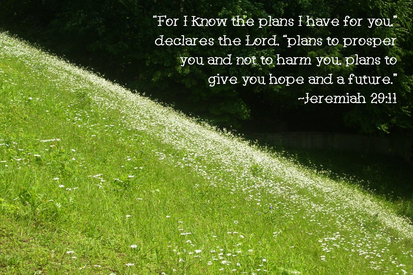 the papyrus basket }: jeremiah 29:11