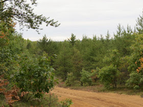 northeast Michigan backcountry