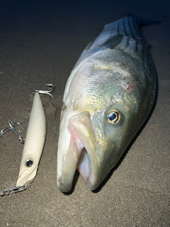 Rhode Island Striped Bass: Surprises of 2023= New Ideas for 2024!