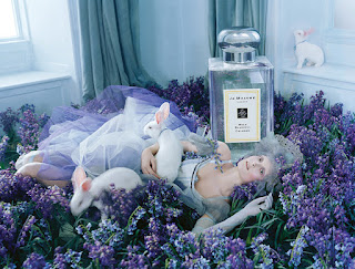 Jo Malone Wild Bluebell